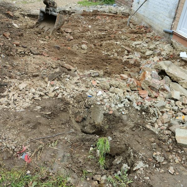 Tree Stump Removal to ensure a string foundation for an extension
