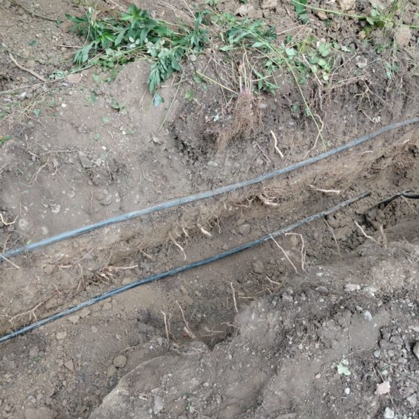 Renewing power cables with Bluebells Groundworks